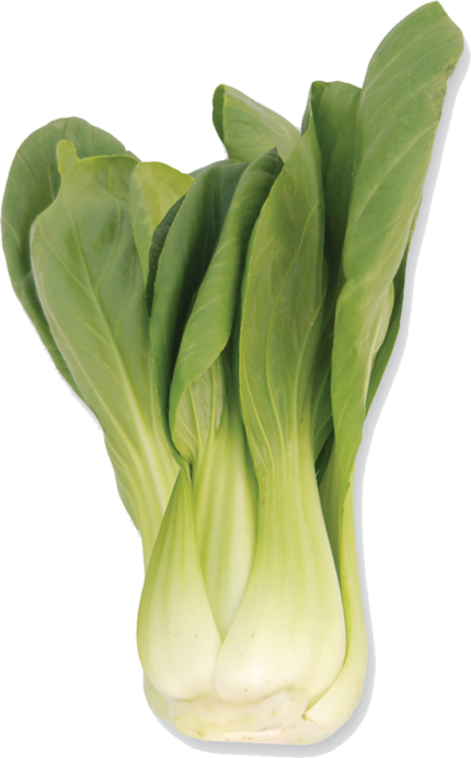 Baby Shanghai Bok Choy