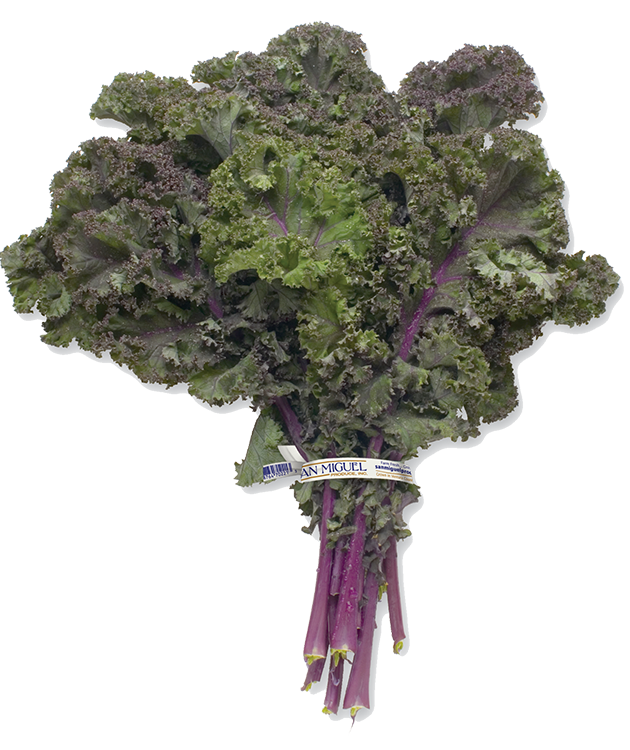Red Kale - San Miguel Produce,